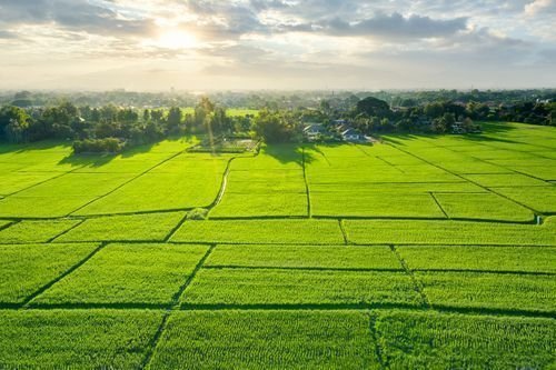 land-plot-aerial-view-include-landscape